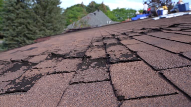 Best Commercial Roofing Services  in Linthicum, MD